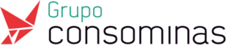 Grupo Consominas
